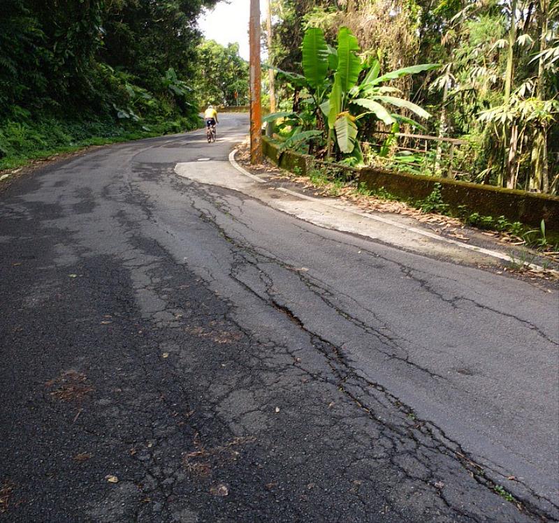 部分路段路面老舊龜裂，將進行更新。