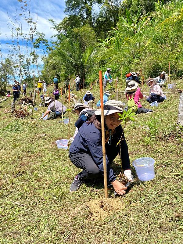 嘉義基督教醫院40位員工親手栽植青剛櫟、櫸木，提升森林生物多樣性及碳吸存。