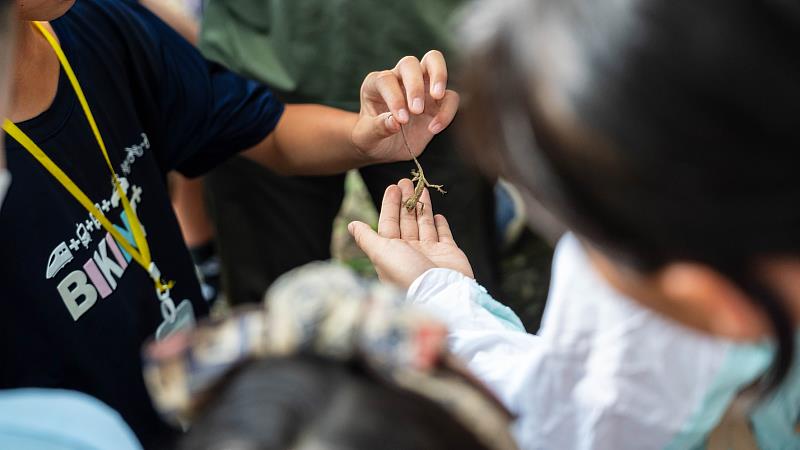 暑假熱門營隊 中興大學實驗林森林探索營早鳥優惠到5月底