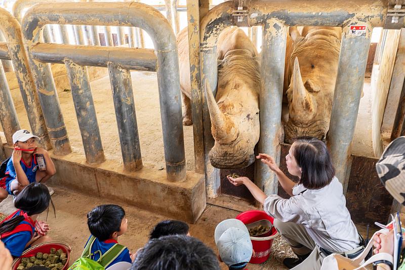 孩童首次見到犀牛,在六福野生動物園獸醫帶領下進入犀牛產房,了解犀牛的照護與與繁育工作。