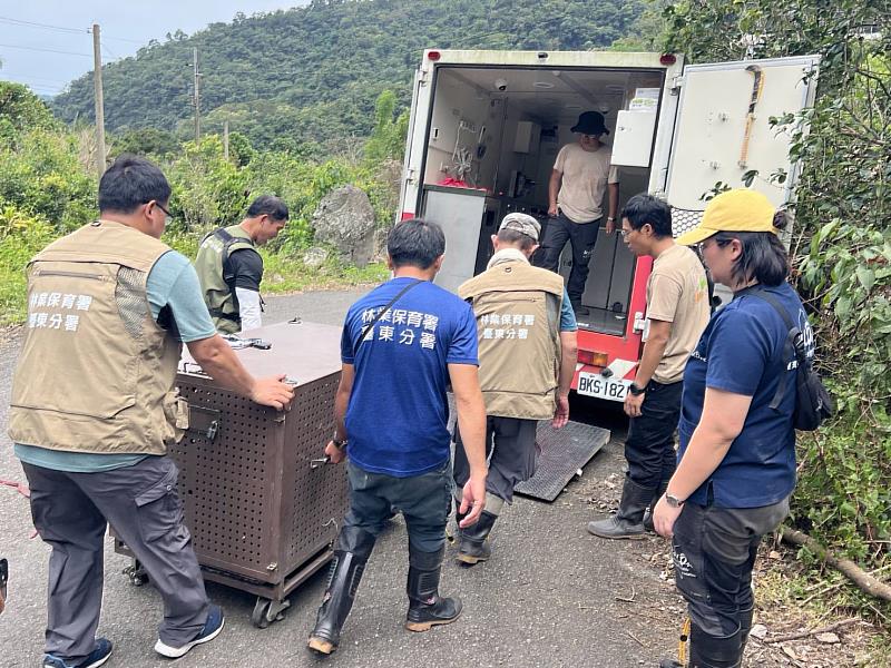 臺東分署與下賓朗部落族人合力將黑熊後送野灣野生動物醫院。