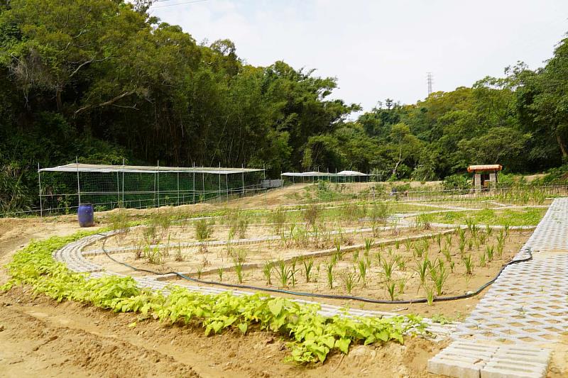 福德坑社區規劃師改善