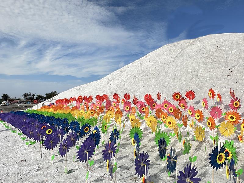 七股鹽山「鹹轉海風祭」限時登場，彩虹花海風車沿著雪白鹽山一路盛開，成為近期最吸睛的打卡景點。