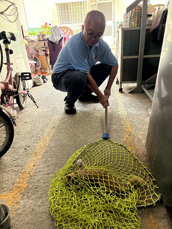 5月驚現3例狂犬病鼬獾！ 臺東縣政府加強全面防疫措施