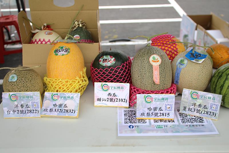 水上瓜瓜節熱鬧登場 職農市集結合食農教育吸引民眾參與