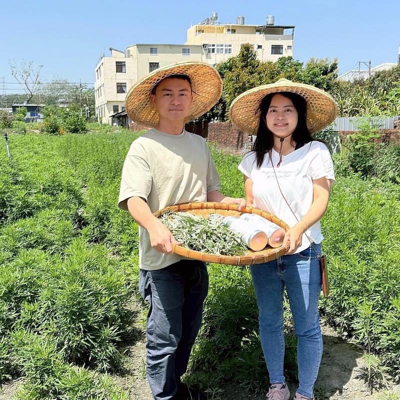 艾草和午時水是製作午時艾草平安皂最重要的材料。