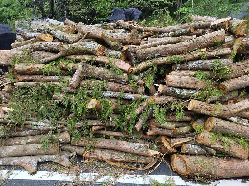 造林地疏伐留下大量枝葉、枝梢及小徑木等剩餘資材，透過產學合作與精油萃取技術，轉化為具有療癒價值與市場潛力的森林產品。