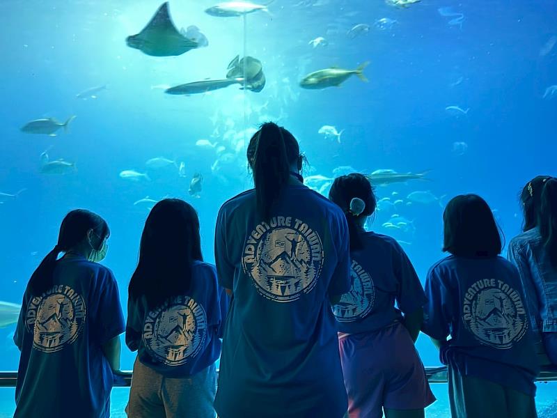 救國團推出「與魚共舞．夜宿海生館」115年暑期生態營隊 引領學童探索海洋奧祕