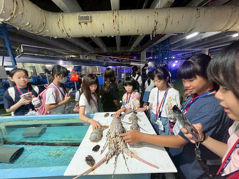 救國團推出「與魚共舞．夜宿海生館」115年暑期生態營隊 引領學童探索海洋奧祕