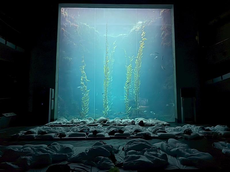 救國團推出「與魚共舞．夜宿海生館」115年暑期生態營隊 引領學童探索海洋奧祕