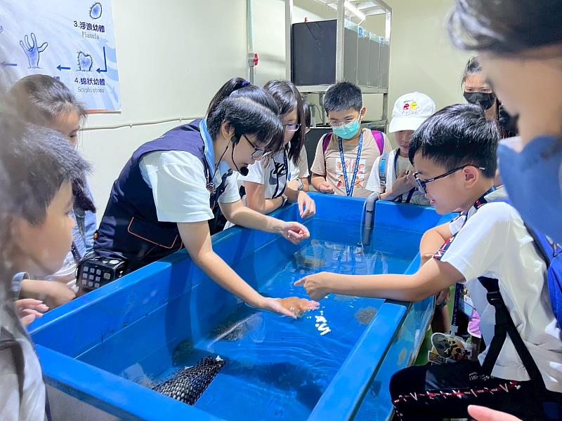 救國團推出「與魚共舞．夜宿海生館」115年暑期生態營隊 引領學童探索海洋奧祕