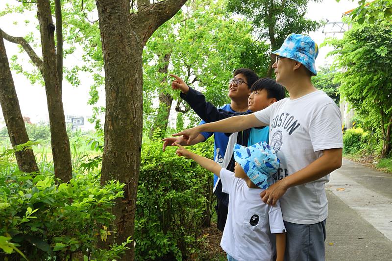 民眾觀察光臘樹上的獨角仙