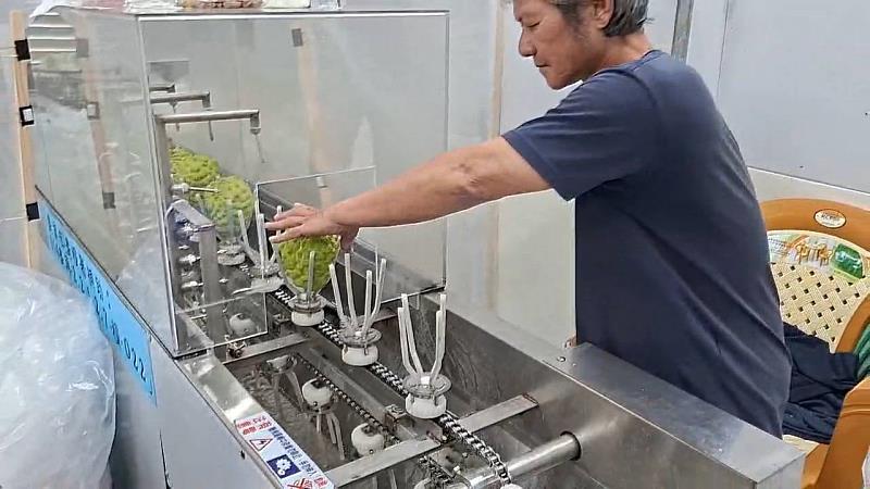 臺東鳳梨釋迦優良包裝廠評鑑揭曉 10家業者脫穎而出