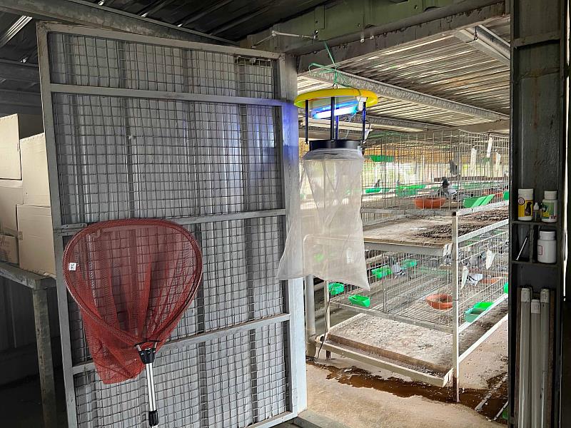 嘉義縣出現日本腦炎確定病例 衛生局籲幼兒按時接種疫苗