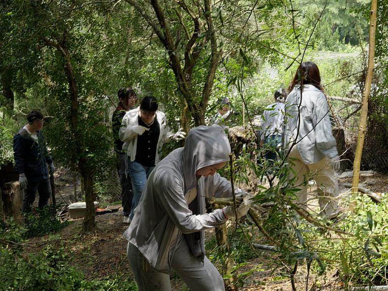 愛家貓也守護石虎!貪貪長期關注野生動物保育議題,持續以實際行動支持公益。(資料來源:貪貪Munchee)
