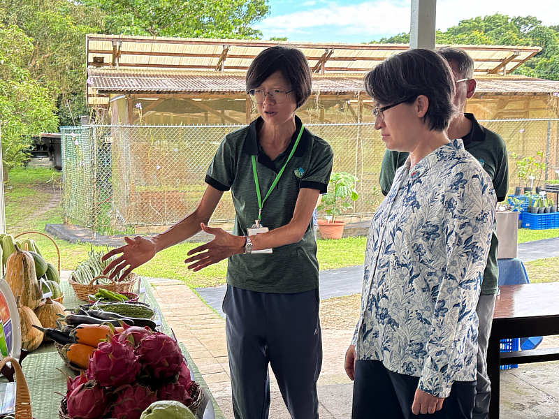 Chia-Ling Ho, technical expert of the TaiwanICDF Technical Mission, introduces the farm's fresh produce to Vice President Bi-khim Hsiao.