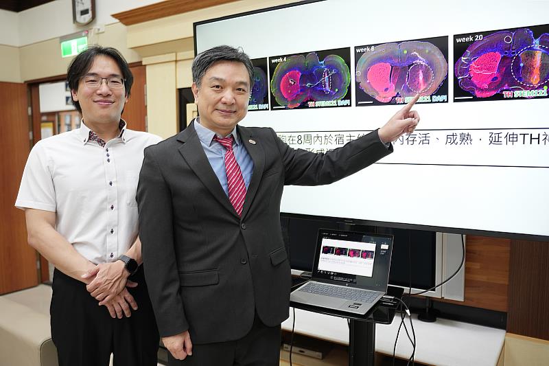 中興大學生命科學系蘇鴻麟教授(右)與慈濟醫療法人張嘉佑博士(左)共同發表「即用型」iPSC 神經球