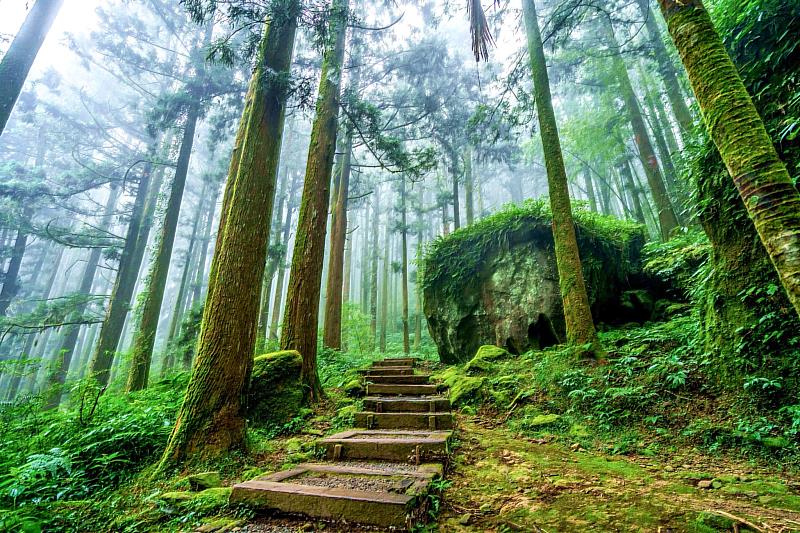 大凍山步道