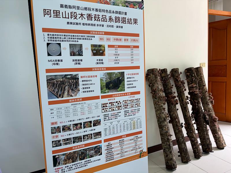 建立符合阿里山氣候環境之香菇品系,不僅可提升產業競爭力,也有助於打造具地方特色的阿里山香菇品牌。