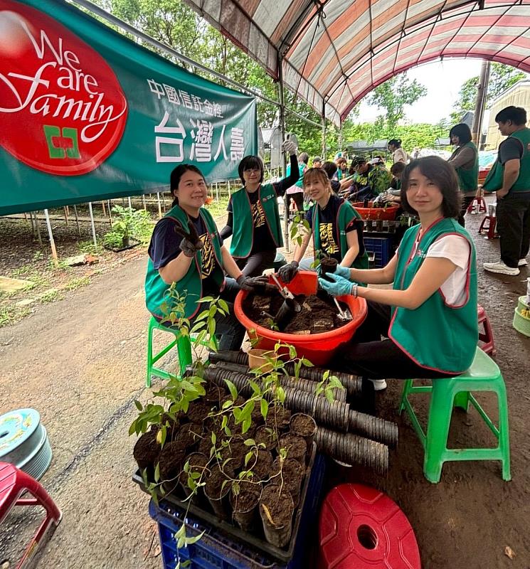 台灣人壽保險顧問協力將幼苗分盆,為地球存自然資本。/台灣人壽提供