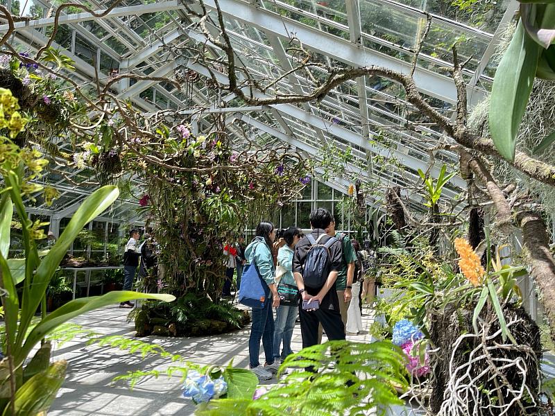 「浮光界」溫室內種植多種以「阿里山」為名的植物，遊客可近距離觀察各類高山植物特徵。