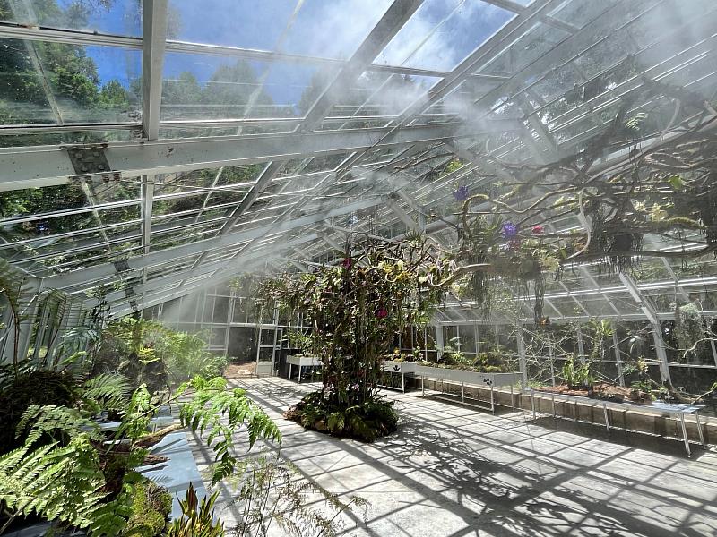 「浮光界」溫室空間以高山植物、霧氣、光影與生態感知為核心主軸，讓遊客感受光霧交會之間的山林生命力。
