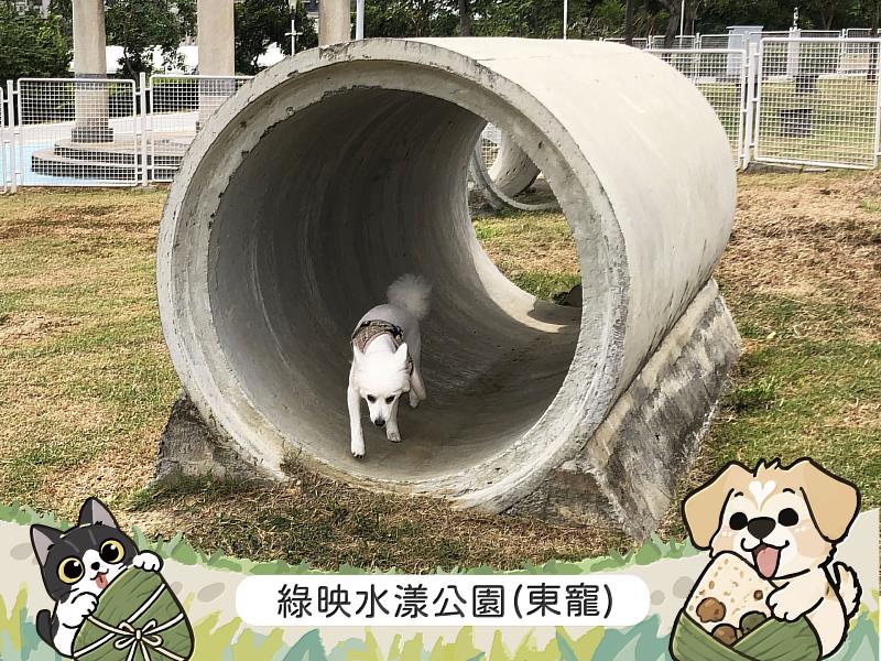 綠映水漾公園邀您在端午連假陪毛孩開心放電。