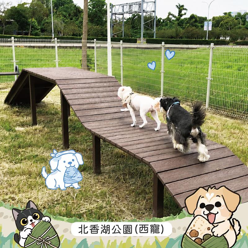 邀您端午連假帶毛孩「放粽」趣,嘉義市兩座寵物公園陪毛孩開心放電。