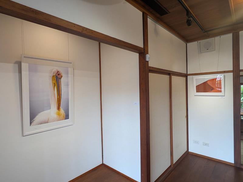 展場一隅。