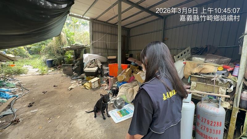 飼主放養犬隻肇事 遭重罰5萬3千元並移送法辦