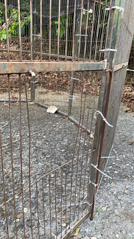 飼主放養犬隻肇事　遭重罰5萬3千元並移送法辦