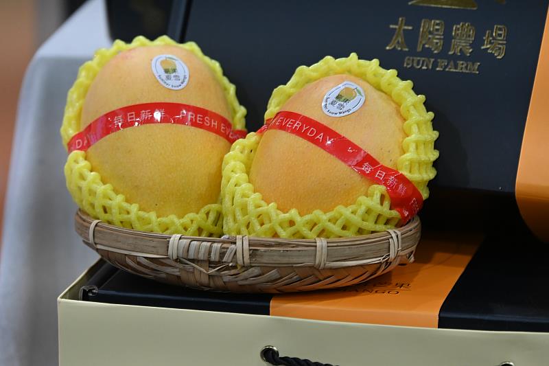 風味有高度 芒果界的LV 臺東夏雪芒果迎豐收 宅配熱銷估7月中完售