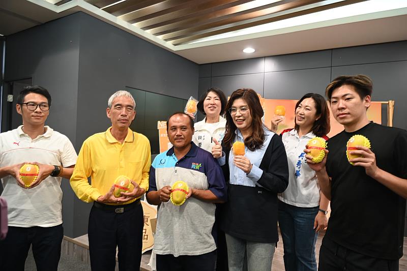 風味有高度 芒果界的LV 臺東夏雪芒果迎豐收 宅配熱銷估7月中完售