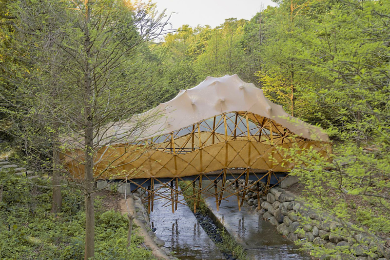 Bridge Cocoon, located beside the lakeside bald cypress grove, has become one of Taiwan’s most iconic contemporary bamboo structures. (Photo credit: Taiwan Bamboo Society)