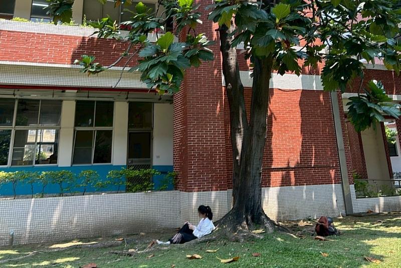 南大學生透過「尋找樹朋友」活動與自然互動，在靜心陪伴中重新連結自我，培養心理韌性。