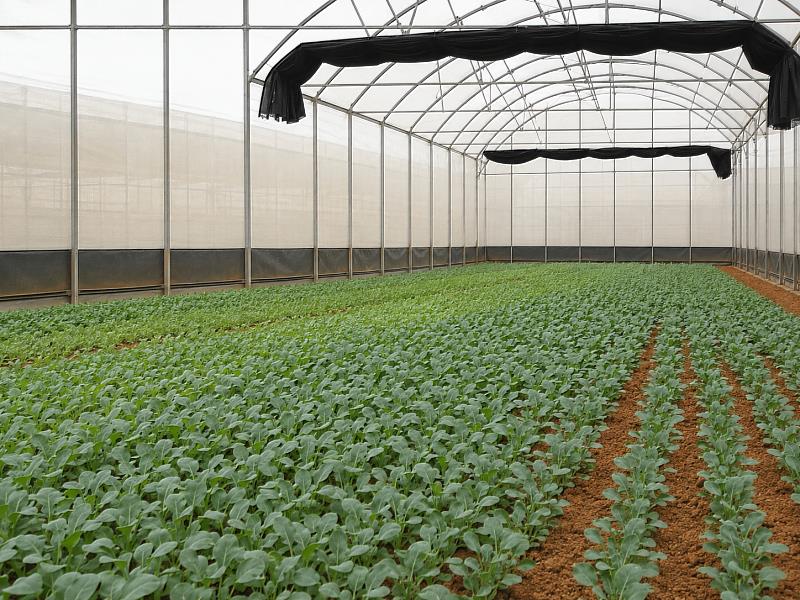 產銷履歷制度可建立更有系統的生產作業流程。