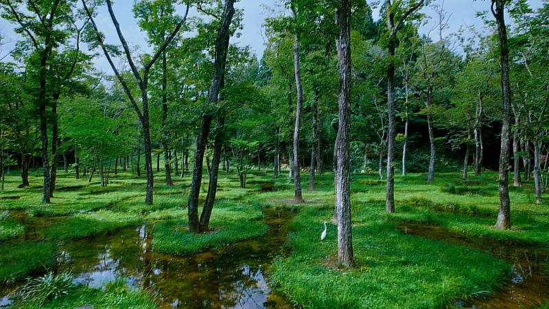 「那須無垢之音」在森林與水景之間找回旅行最純粹的模樣