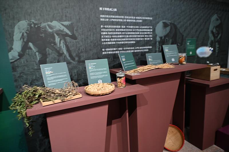 東博「記憶提取所：我們有滋有味的生活」正式開展，串起具有共感的台東日常生活，重返老時光。