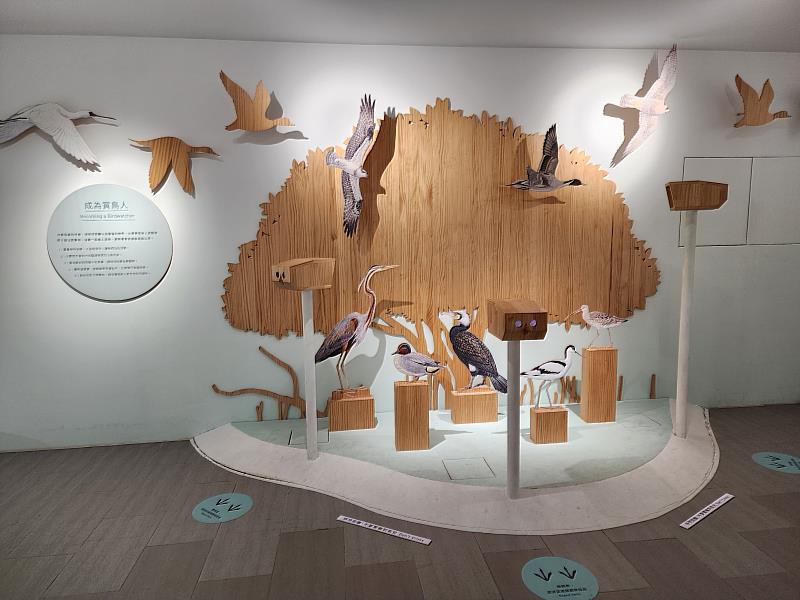 鰲鼓濕地生態展示館將於8月1日結合「看見自然的律動」常設展，推出「飛行員出任務」闖關活動。（鰲鼓濕地粉絲團 提供）