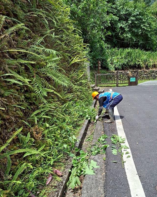清潔人員全面檢視園區排水溝淤積情形