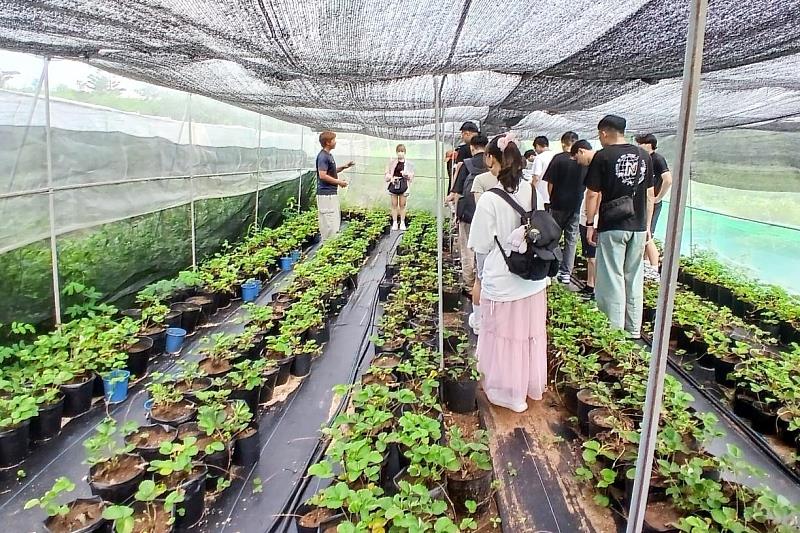 澎湖在地品牌「狗在田裡」創辦人呂慶文先生分享草莓、嘉寶瓜等經濟作物的栽培管理技術、品牌經營理念及銷售模式。