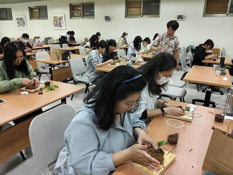 南華大學結合音樂、視覺設計、建築、產品設計等不同專業領域，辦理藝術療癒跨領域課程，圖為植栽療癒工作坊，學員透過植栽感受療癒藝術的力量。