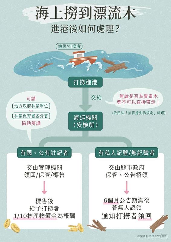 漂流木打撈處理流程。
