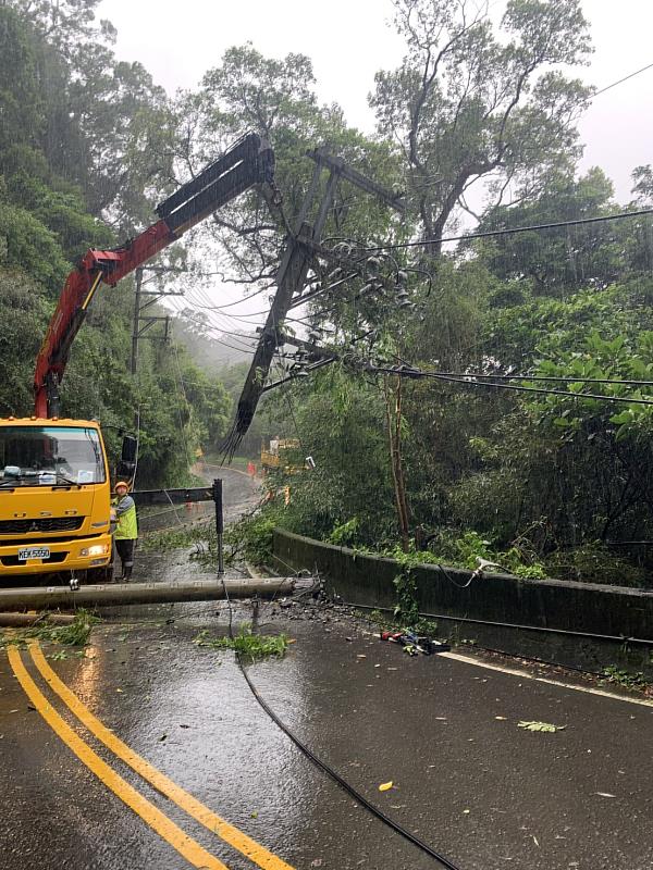 巴威颱風襲台,強風造成新竹寶山鄉樹木滑落致電桿斷裂,台電動員搶修。