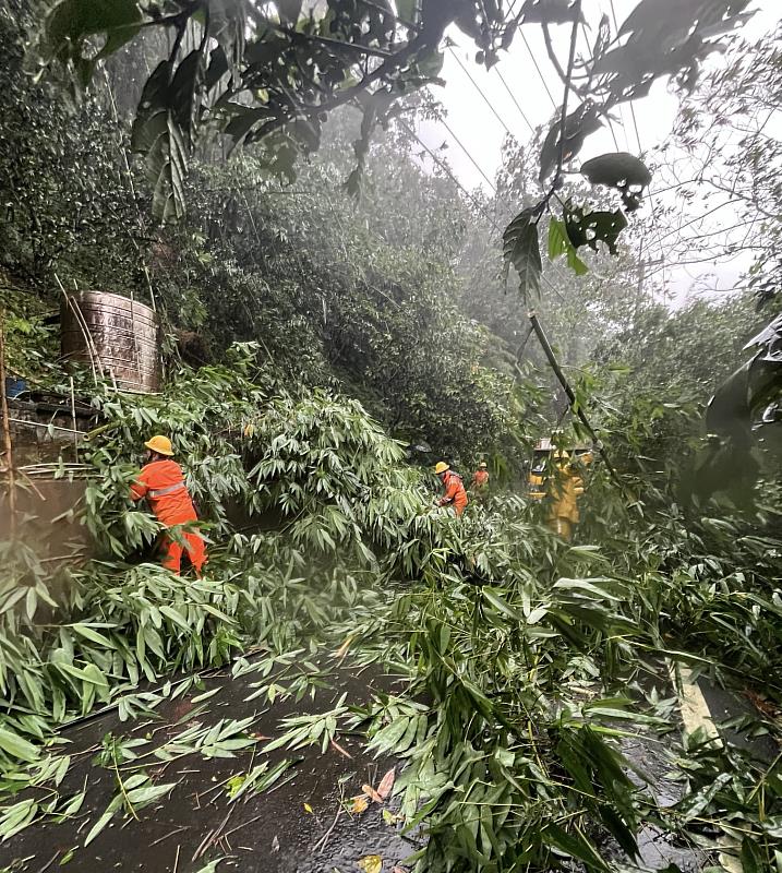 新竹縣關西鄉因風雨造成樹木倒斷，台電人員進行搶修。