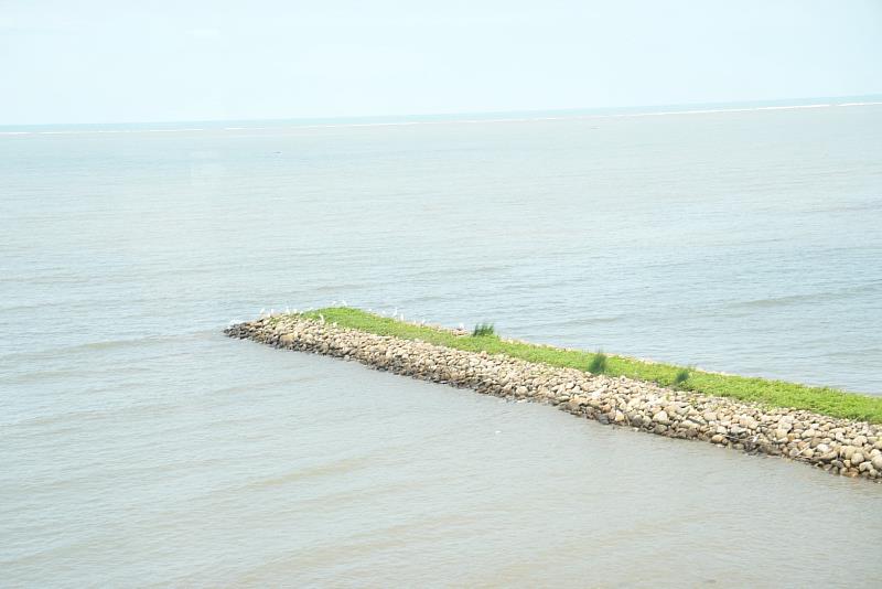 漲潮時，可以在海保中心2樓欣賞鳥島停棲鳥類。