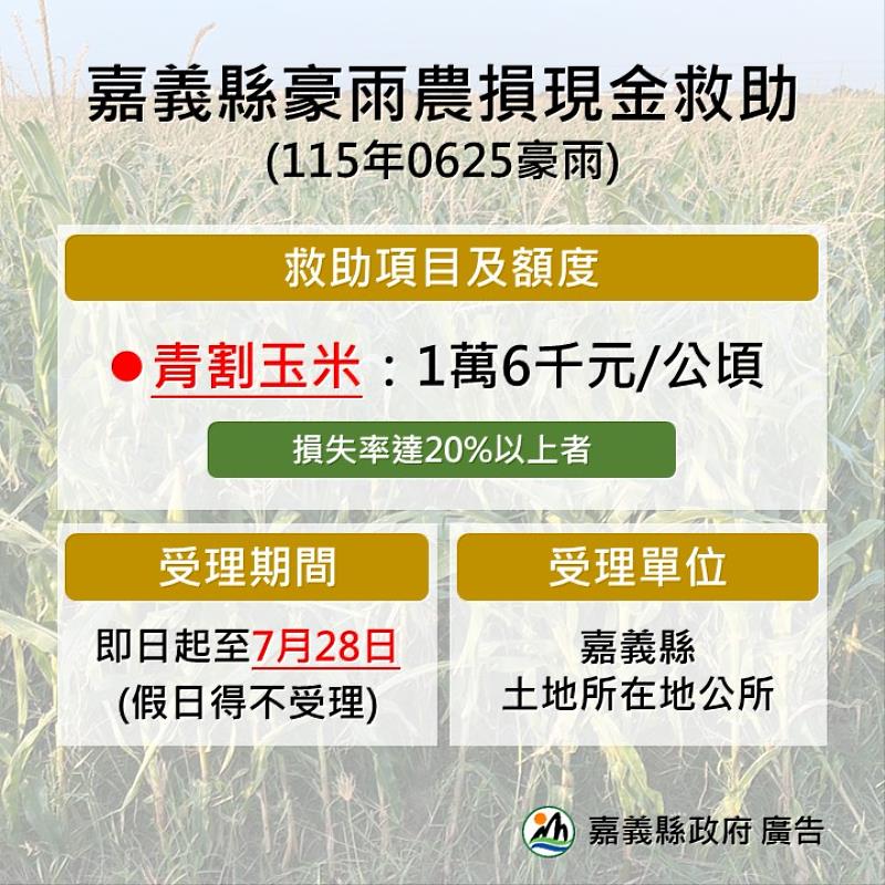 嘉義縣辦理115年0625豪雨青割玉米現金救助