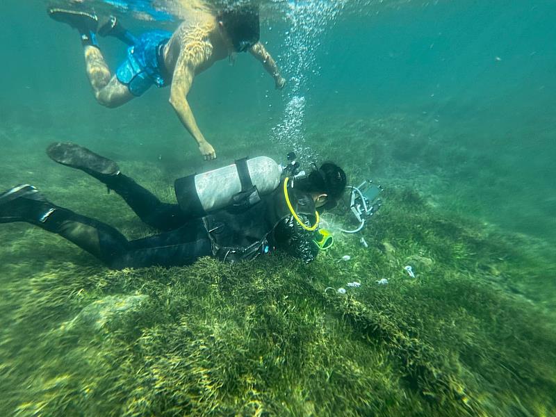 高科大海環系陳建志老師研究團隊於海草床進行水下調查，蒐集海草及沉積物樣本，解開海草床「隱形藍碳」機制。