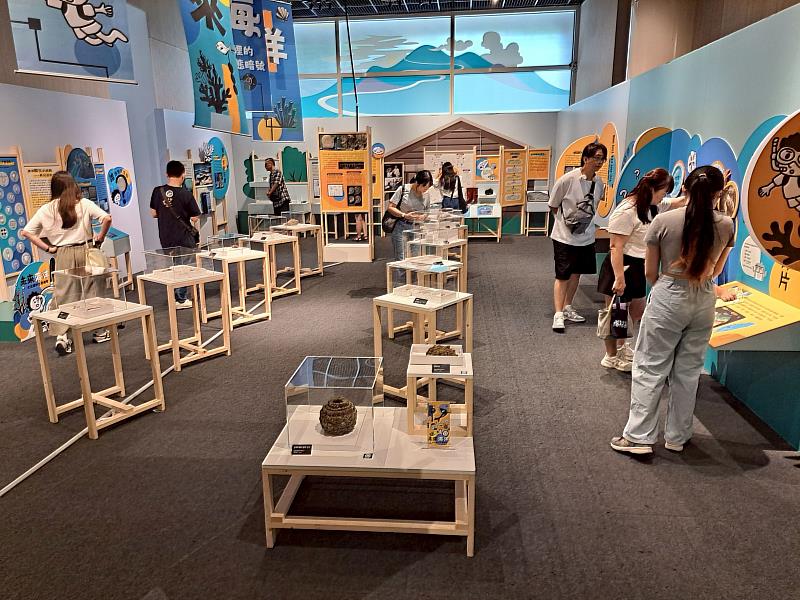 百萬年海洋故事藏在化石裡 嘉市立博物館《未來海洋:化石裡的生態暗號》邀民眾一探究竟