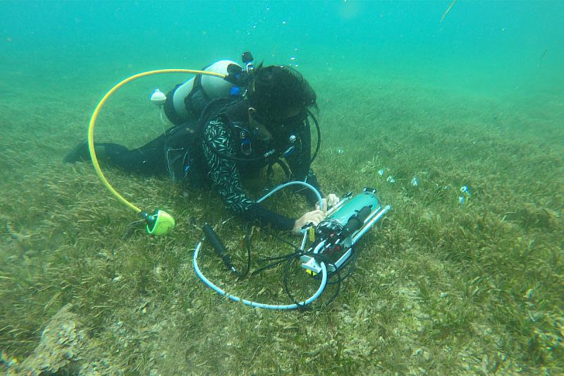 Mariche量測海草床光合作用,分析海草吸收二氧化碳能力。